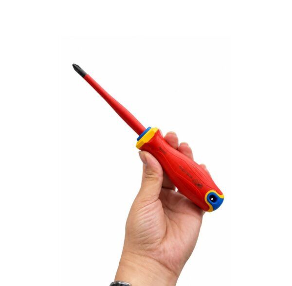 پيچ گوشتي چهارسو توسن 6*100 T4485